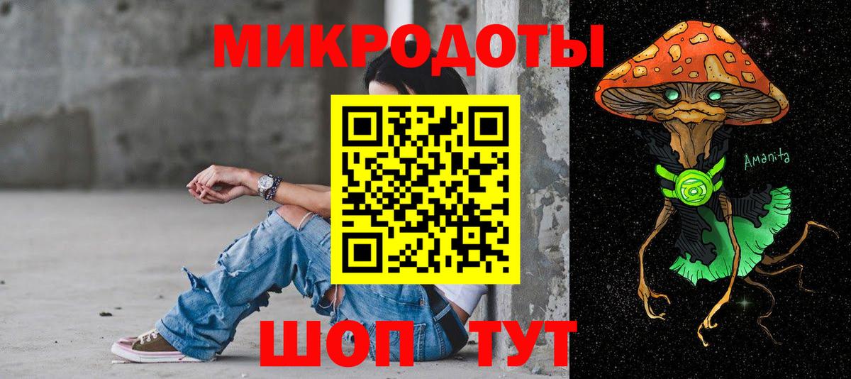 Бошки Шишки Касимов