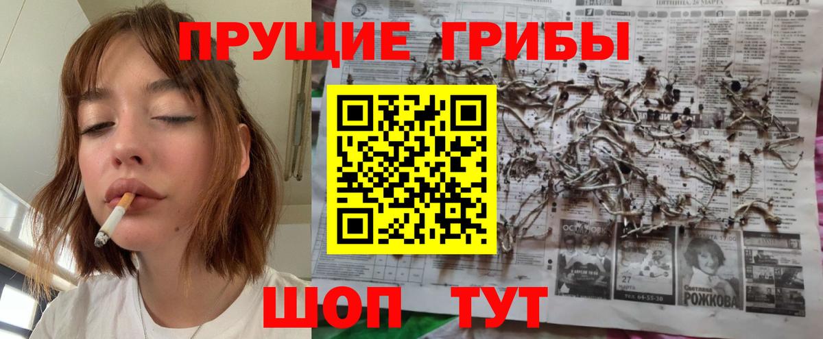 Псилоцибиновые грибы GOLDEN TEACHER  Вход с VPN  Касимов  Галлюциногенные грибы мицелий 