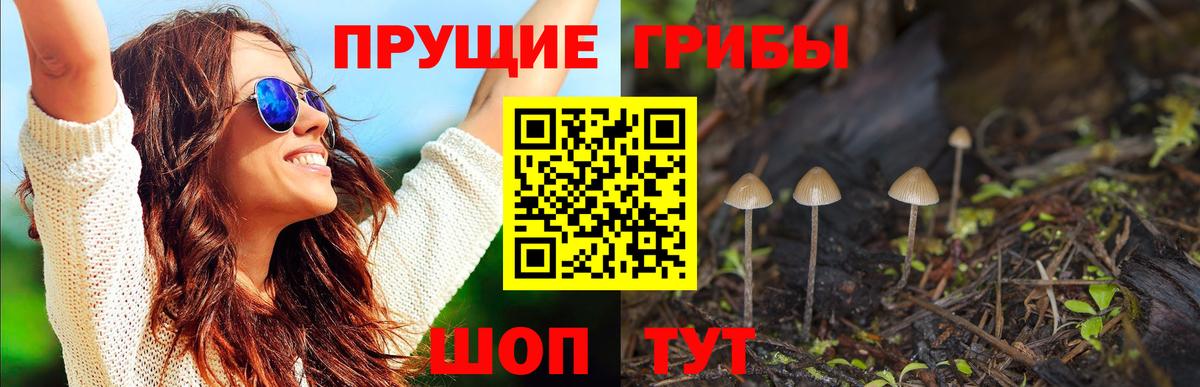 Псилоцибиновые грибы GOLDEN TEACHER Касимов